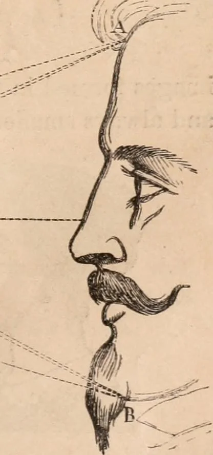 An illustration from Introductory course of natural philosophy for the use of schools and academies. Ed. from Ganot's popular physics. By William G. Peck, 1869, leaf 284