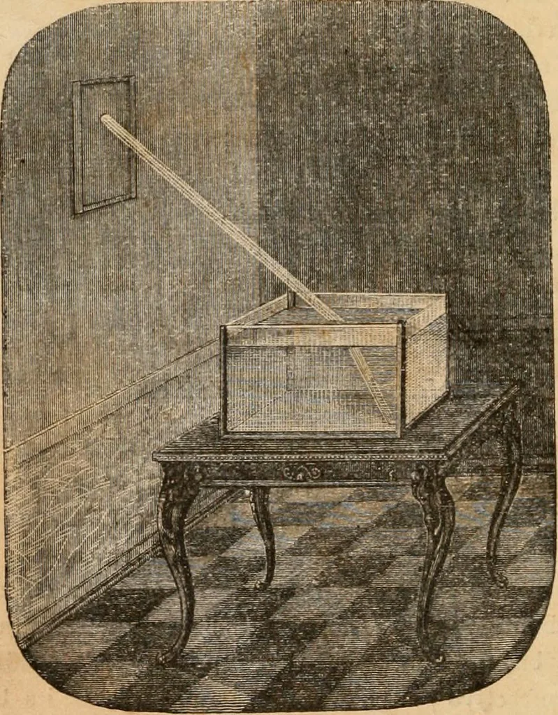 An illustration from Introductory course of natural philosophy for the use of schools and academies. Ed. from Ganot's popular physics. By William G. Peck, 1869, leaf 289