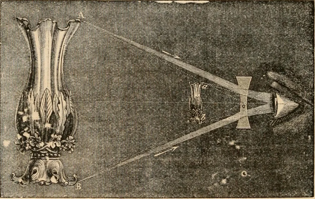 An illustration from Introductory course of natural philosophy for the use of schools and academies. Ed. from Ganot's popular physics. By William G. Peck, 1869, leaf 309