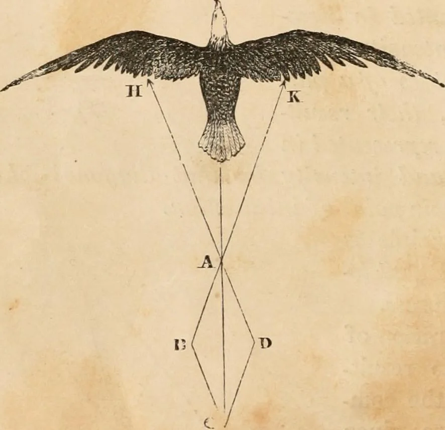 An illustration from Introductory course of natural philosophy for the use of schools and academies. Ed. from Ganot's popular physics. By William G. Peck, 1869, leaf 31