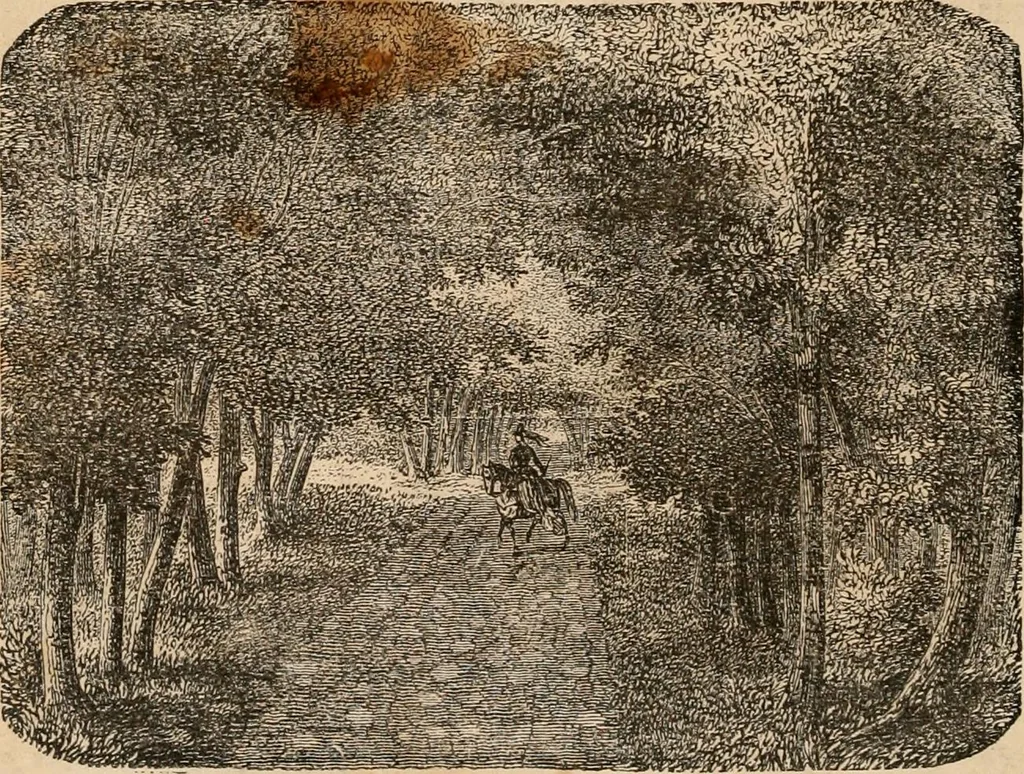 An illustration from Introductory course of natural philosophy for the use of schools and academies. Ed. from Ganot's popular physics. By William G. Peck, 1869, leaf 347