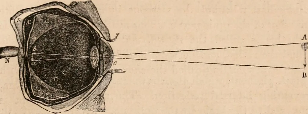 An illustration from Introductory course of natural philosophy for the use of schools and academies. Ed. from Ganot's popular physics. By William G. Peck, 1869, leaf 354