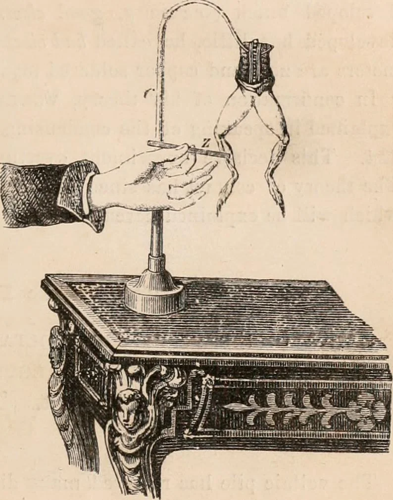 An illustration from Introductory course of natural philosophy for the use of schools and academies. Ed. from Ganot's popular physics. By William G. Peck, 1869, leaf 436