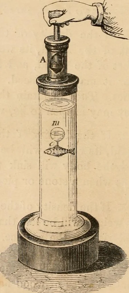 An illustration from Introductory course of natural philosophy for the use of schools and academies. Ed. from Ganot's popular physics. By William G. Peck, 1869, leaf 97