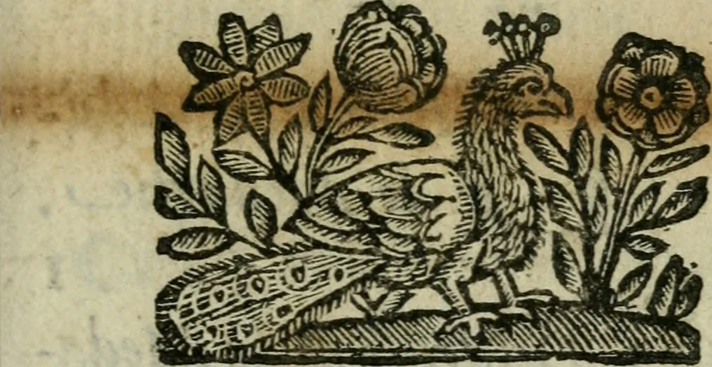 An illustration from Introduzione alla storia della pratica delle medaglie, 1673, leaf 20