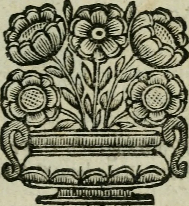 An illustration from Introduzione alla storia della pratica delle medaglie, 1673, leaf 24