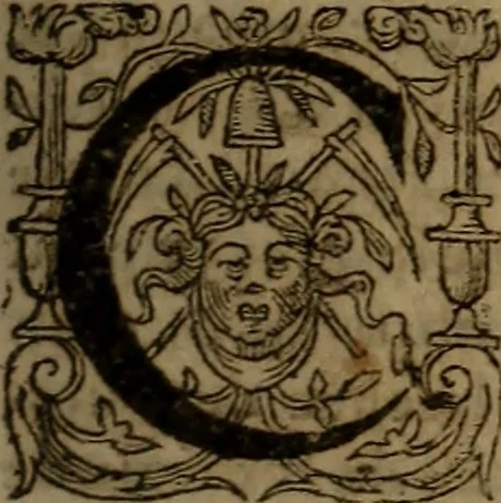 An illustration from Inventaire general de l'histoire de France. : depuis Pharamond iusques à Lovys XIII. à present regnant. Illustré par la conference de l'Eglise & de l'Empire., 1619, leaf 188