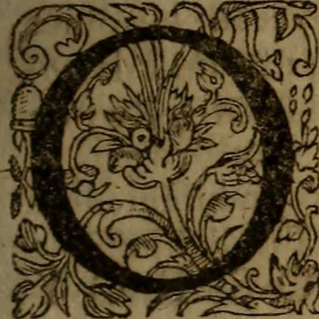 An illustration from Inventaire general de l'histoire de France. : depuis Pharamond iusques à Lovys XIII. à present regnant. Illustré par la conference de l'Eglise & de l'Empire., 1619, leaf 192