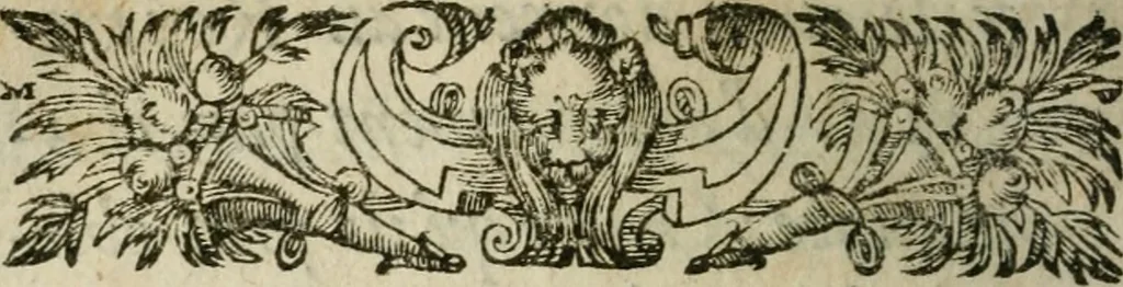 An illustration from Inventaire général des plus curieuses recherches des Royaumes d'Espagne, nouvellement composé en langue Castillane, 1612, leaf 315