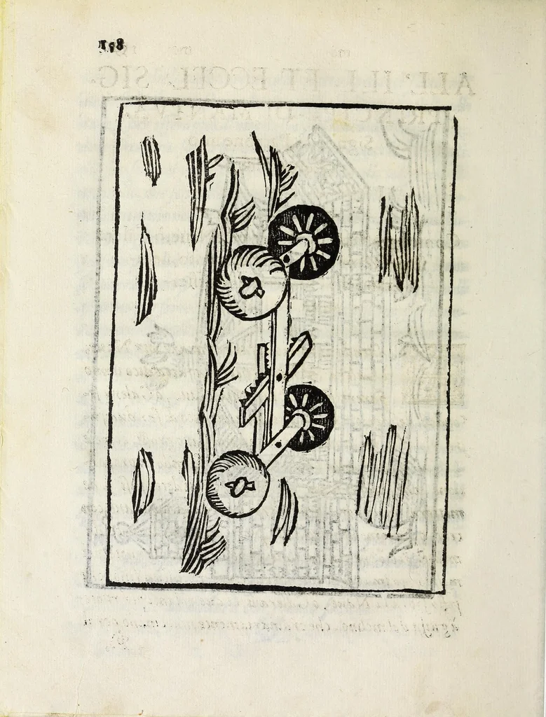 An illustration from Inventioni di Gio. Battista Isacchi da Reggio, nelle quali si manifestano varij secreti, & vtili auisi a persone di gverra, e per i tempi di piacere, 1579, leaf 178