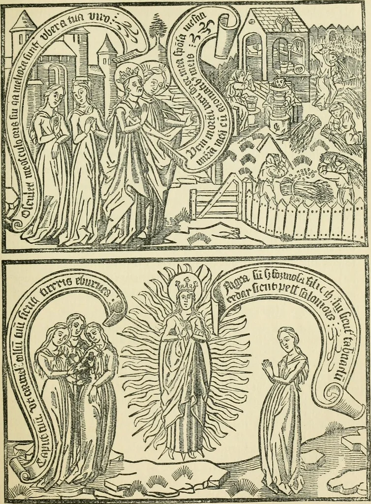 An illustration from The invention of printing : a collection of facts and opinions descriptive of early prints and playing cards, the block-books of the fifteenth century, the legend of Lourens Janszoon Coster, of Haarlem, and the work of John Gutenberg and his associates, 1878, leaf 224