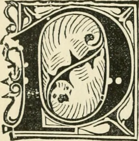 An illustration from The invention of printing : a collection of facts and opinions descriptive of early prints and playing cards, the block-books of the fifteenth century, the legend of Lourens Janszoon Coster, of Haarlem, and the work of John Gutenberg and his associates, 1878, leaf 265