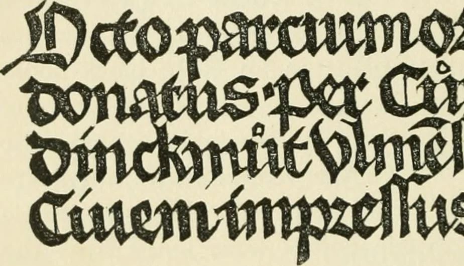 An illustration from The invention of printing : a collection of facts and opinions descriptive of early prints and playing cards, the block-books of the fifteenth century, the legend of Lourens Janszoon Coster, of Haarlem, and the work of John Gutenberg and his associates, 1878, leaf 269