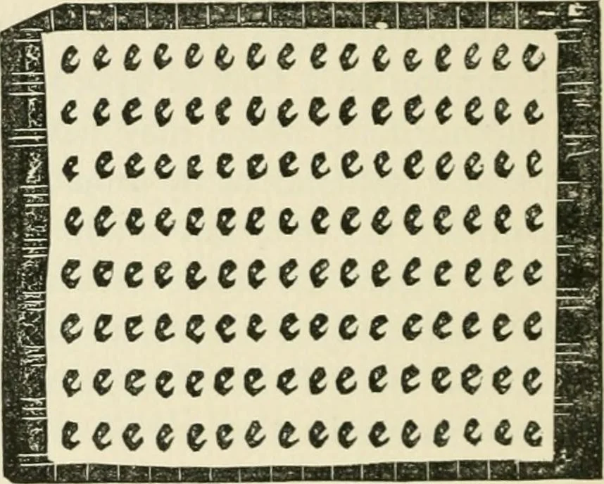 An illustration from The invention of printing : a collection of facts and opinions descriptive of early prints and playing cards, the block-books of the fifteenth century, the legend of Lourens Janszoon Coster, of Haarlem, and the work of John Gutenberg and his associates, 1878, leaf 301