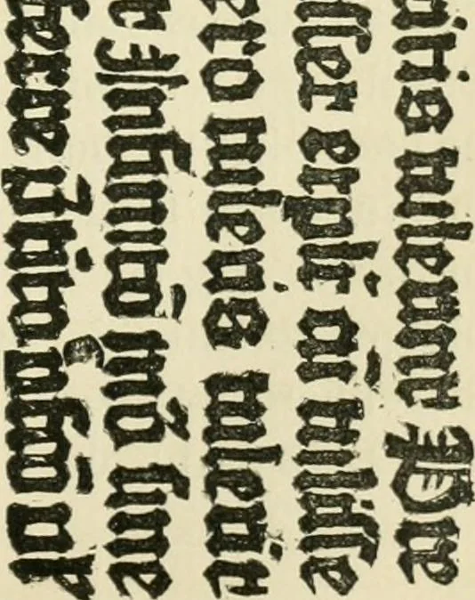 An illustration from The invention of printing : a collection of facts and opinions descriptive of early prints and playing cards, the block-books of the fifteenth century, the legend of Lourens Janszoon Coster, of Haarlem, and the work of John Gutenberg and his associates, 1878, leaf 408