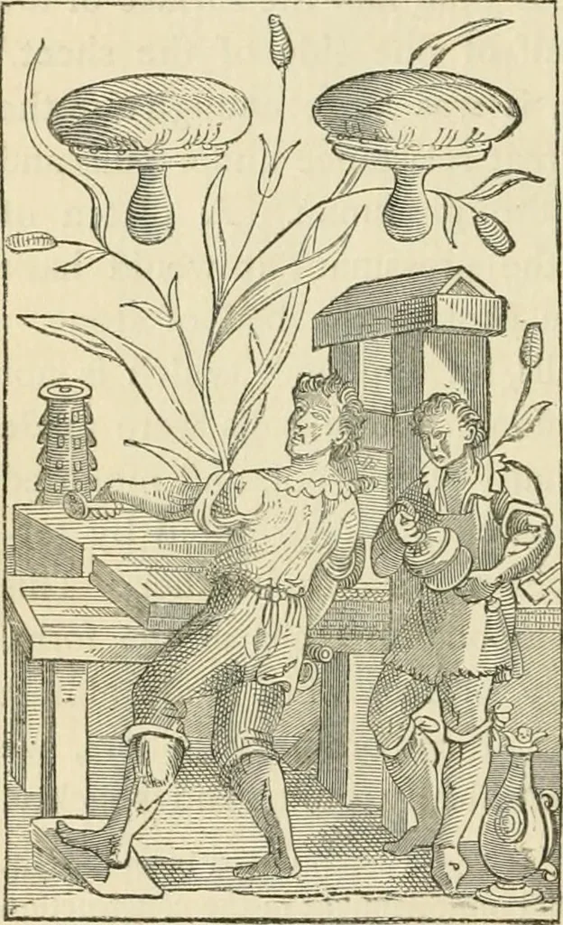An illustration from The invention of printing : a collection of facts and opinions descriptive of early prints and playing cards, the block-books of the fifteenth century, the legend of Lourens Janszoon Coster, of Haarlem, and the work of John Gutenberg and his associates, 1878, leaf 535