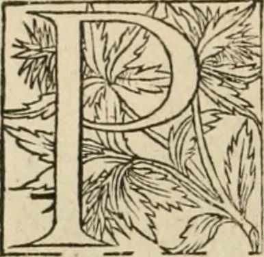 An illustration from Novvelles inventions povr bien bastir et a petits fraiz, 1576, leaf 101