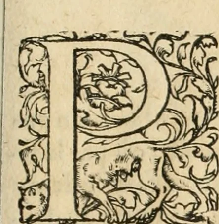 An illustration from Novvelles inventions povr bien bastir et a petits fraiz, 1576, leaf 36