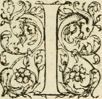An illustration from Novvelles inventions povr bien bastir et a petits fraiz, 1576, leaf 42