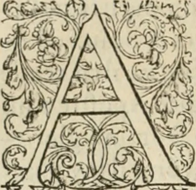 An illustration from Novvelles inventions povr bien bastir et a petits fraiz, 1576, leaf 79