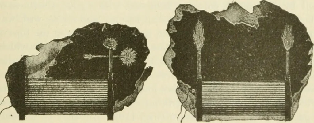 An illustration from The inventions : researches and writing of Nikola Tesla, with special reference to his work in polyphase currents and high potential lighting, 1894, leaf 184