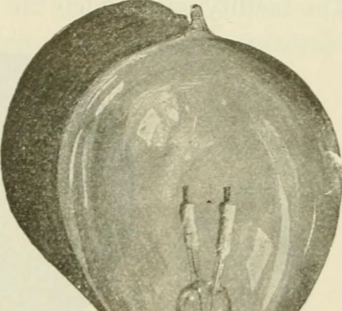 An illustration from The inventions : researches and writing of Nikola Tesla, with special reference to his work in polyphase currents and high potential lighting, 1894, leaf 198
