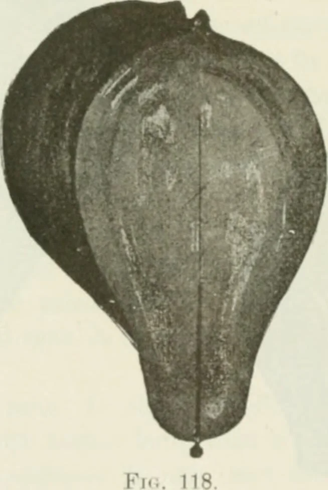An illustration from The inventions : researches and writing of Nikola Tesla, with special reference to his work in polyphase currents and high potential lighting, 1894, leaf 199