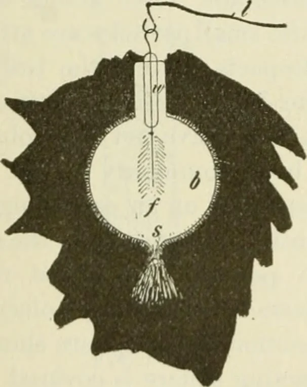 An illustration from The inventions : researches and writing of Nikola Tesla, with special reference to his work in polyphase currents and high potential lighting, 1894, leaf 342