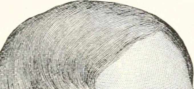 An illustration from Inventors, 1896, leaf 206