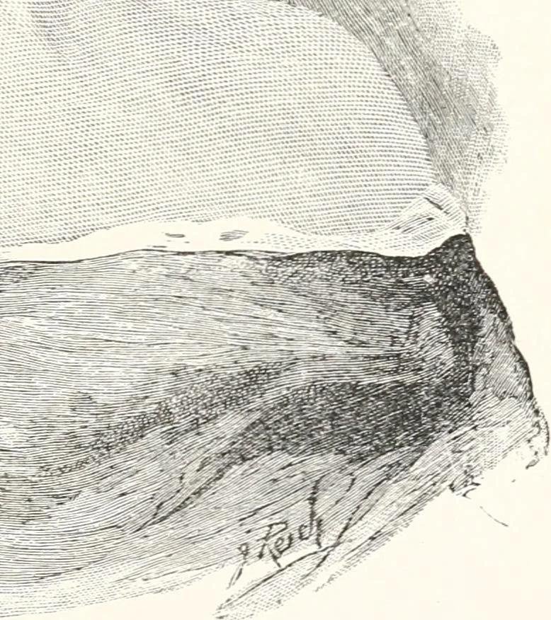 An illustration from Inventors, 1896, leaf 206