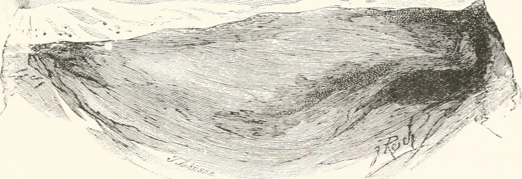 An illustration from Inventors, 1893, leaf 202