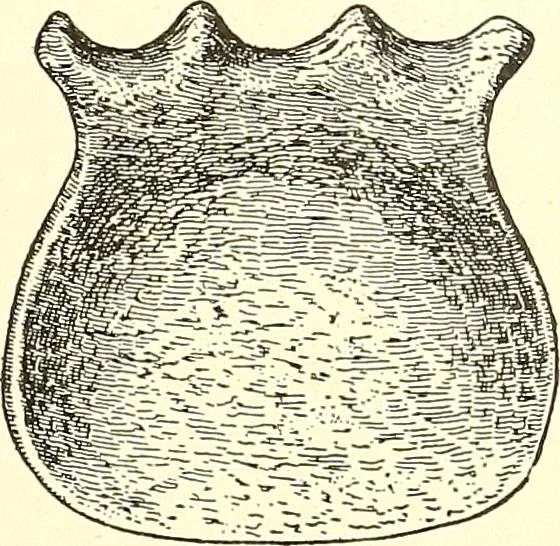 An illustration from Inventors at work, with chapters on discovery, 1906, leaf 128