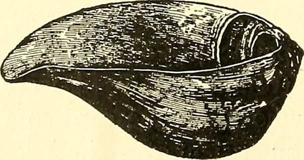 An illustration from Inventors at work, with chapters on discovery, 1906, leaf 153