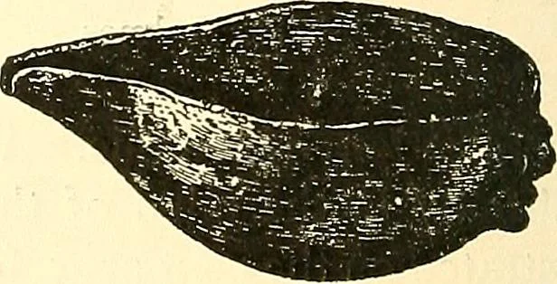 An illustration from Inventors at work, with chapters on discovery, 1906, leaf 153