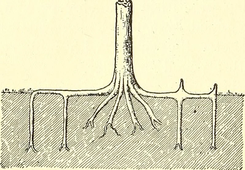 An illustration from Inventors at work, with chapters on discovery, 1906, leaf 297