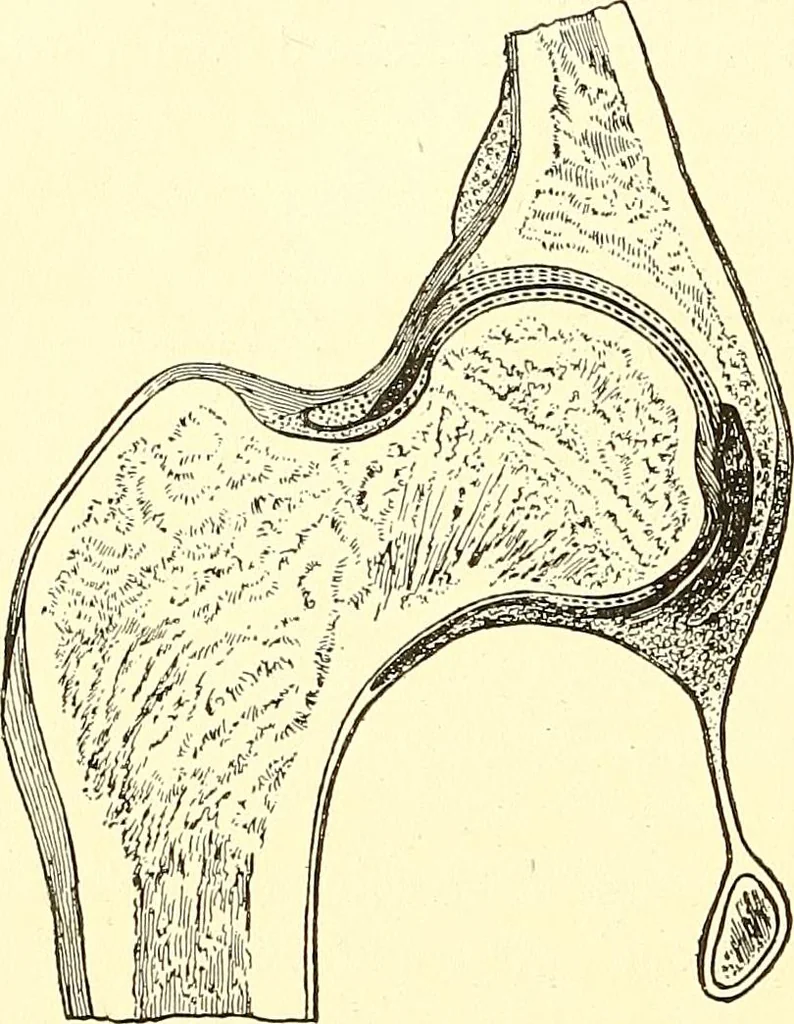 An illustration from Inventors at work, with chapters on discovery, 1906, leaf 301