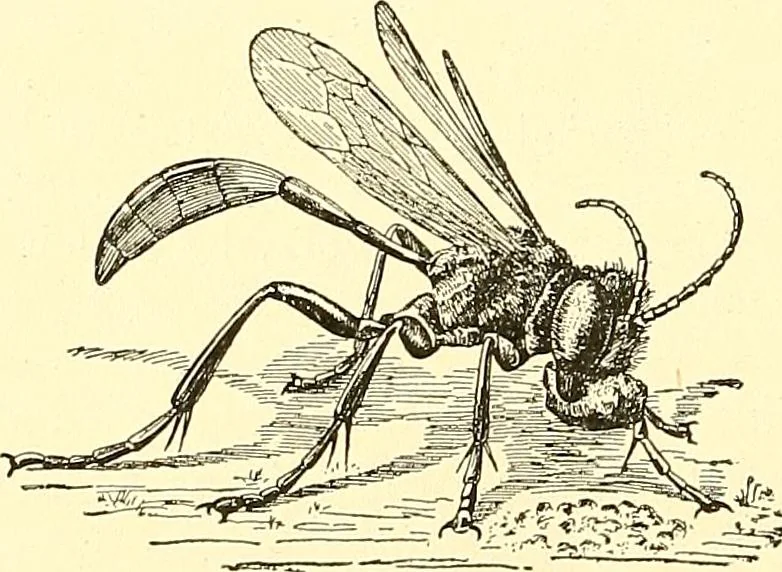 An illustration from Inventors at work, with chapters on discovery, 1906, leaf 309