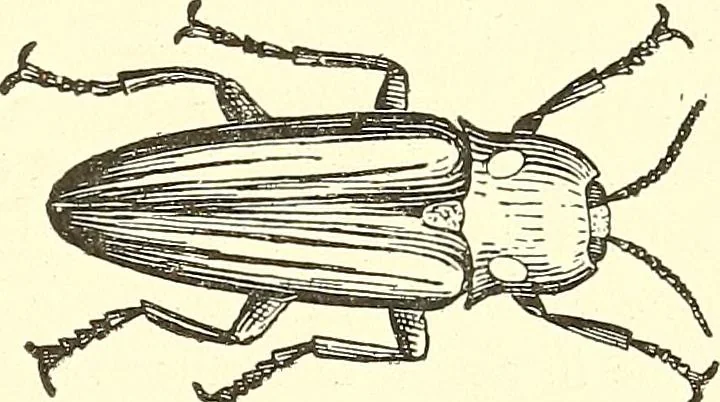 An illustration from Inventors at work, with chapters on discovery, 1906, leaf 312