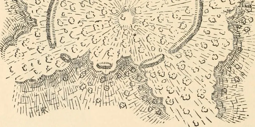 An illustration from The inventors and inventions of Cayuga County, N.Y., 1882, leaf 17