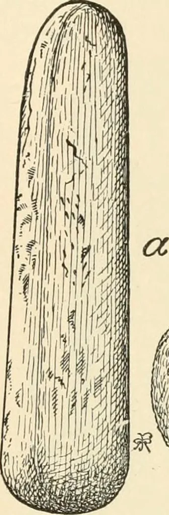 An illustration from The inventors and inventions of Cayuga County, N.Y., 1882, leaf 20