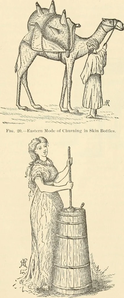 An illustration from The inventors and inventions of Cayuga County, N.Y., 1882, leaf 28