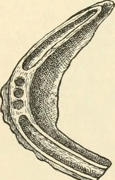 An illustration from The inventors and inventions of Cayuga County, N.Y., 1882, leaf 52