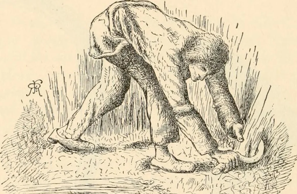 An illustration from The inventors and inventions of Cayuga County, N.Y., 1882, leaf 53
