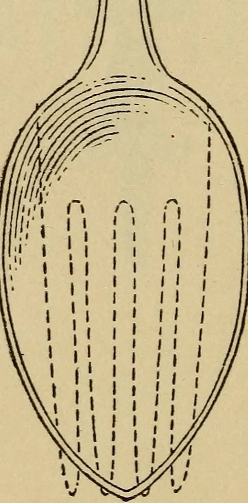 An illustration from Inventor's manual, how to work a patent to make it pay; a guide for inventors, in perfecting their inventions, taking out their patents, and disposing of them, and cautions as to pitfalls for the unwary, 1918, leaf 155
