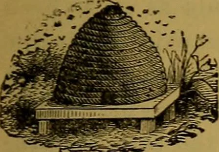 An illustration from Inventors' & mechanics' scientific manual and patent law complete, 1871, leaf 20