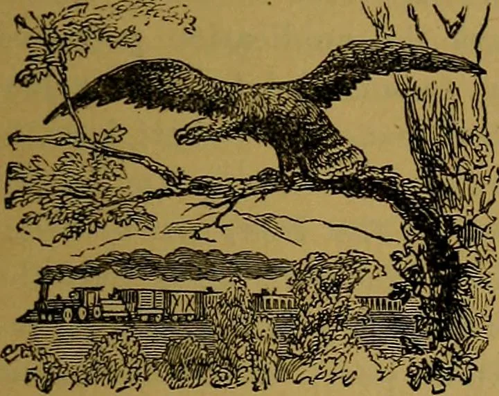 An illustration from Inventors' & mechanics' scientific manual and patent law complete, 1871, leaf 6