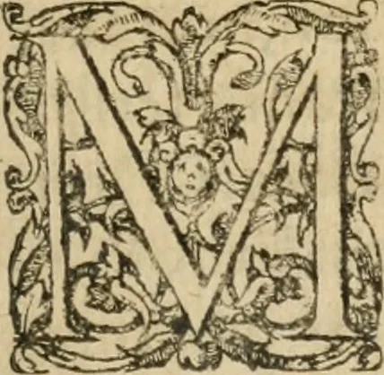 An illustration from Io, 1581, leaf 136