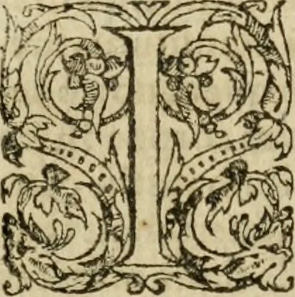 An illustration from Io, 1581, leaf 14