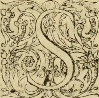 An illustration from Io, 1581, leaf 266