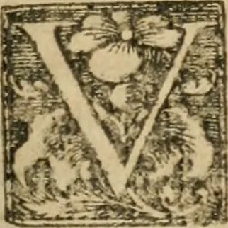 An illustration from Io, 1581, leaf 32